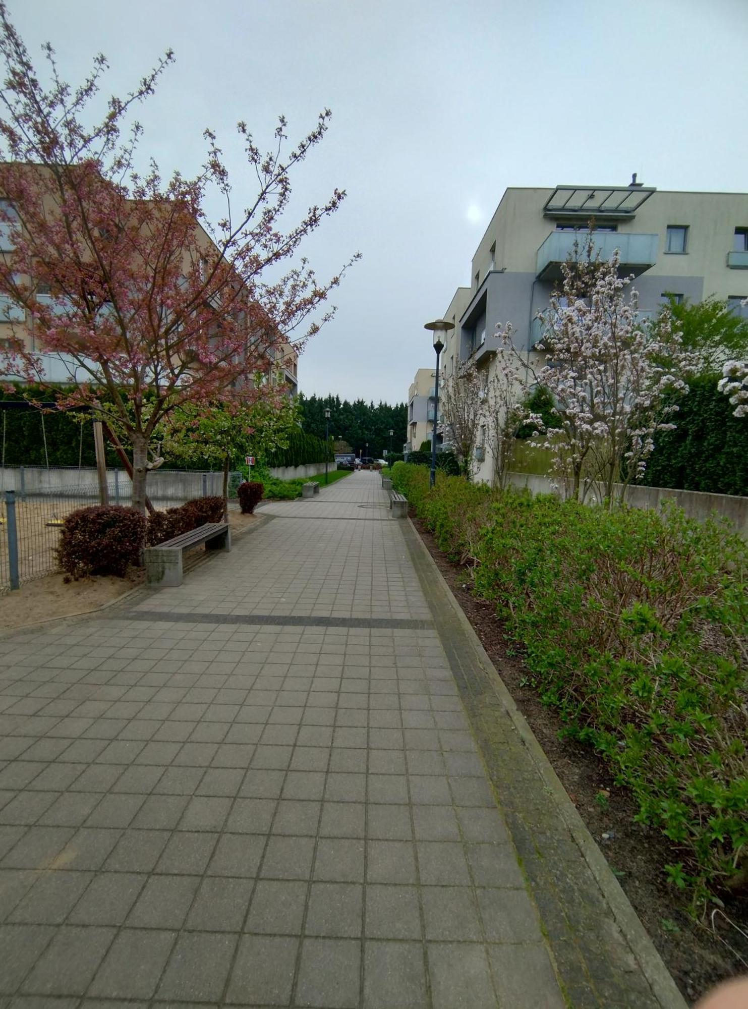 Apartament 1E Barbakan Szczecin Buitenkant foto